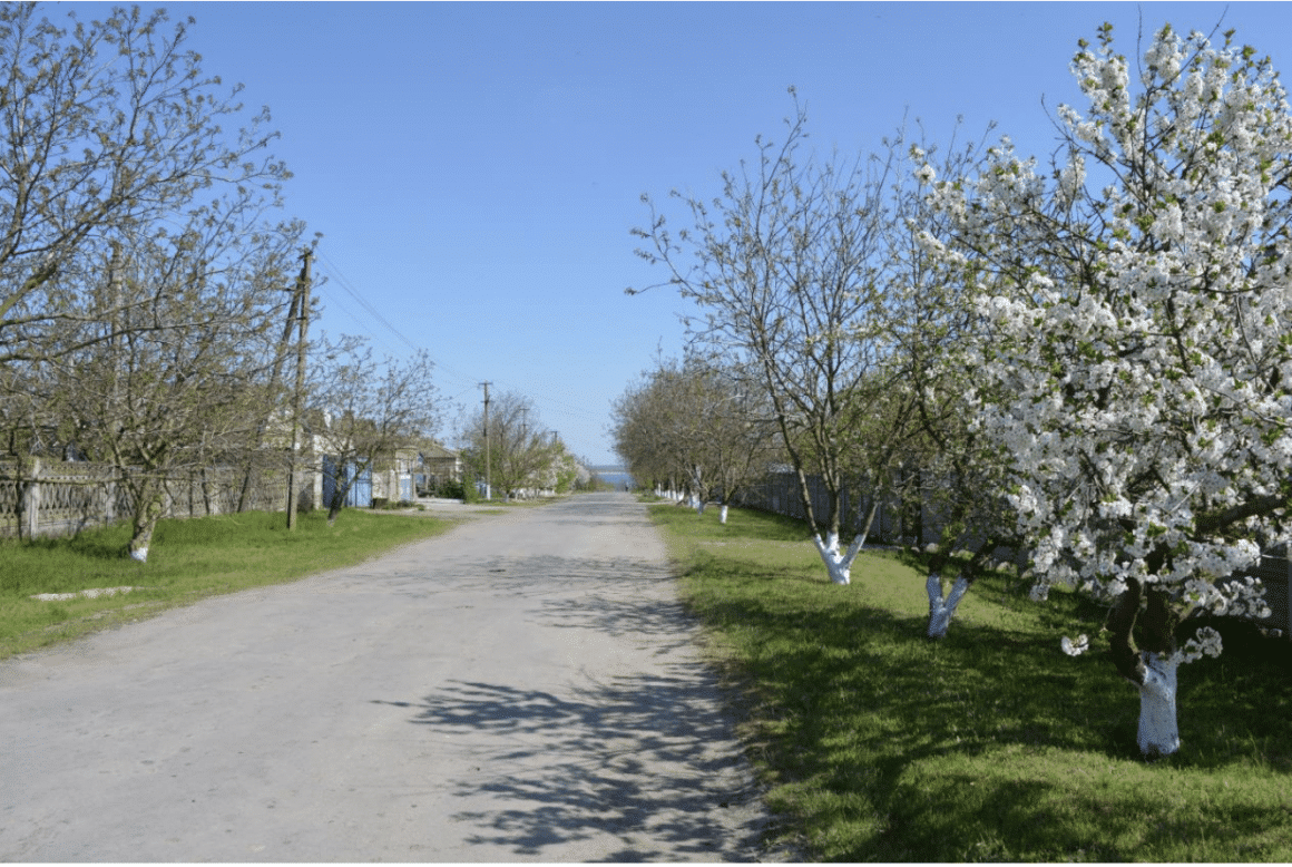 En byväg på våren i den nordöstra delen av Gammalsvenskby. Foto: Kerstin Mattiasson Utas 2015
